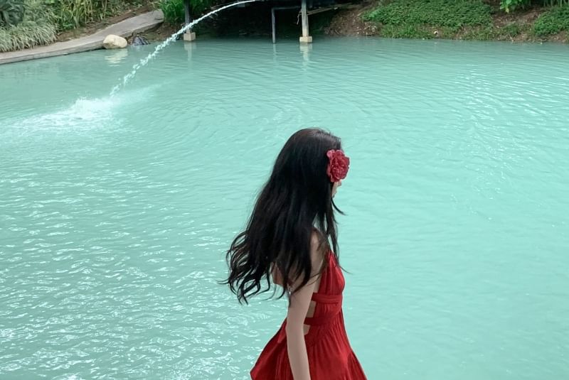 V-Neck A-Line Sleeveless Dress Maxi Plain