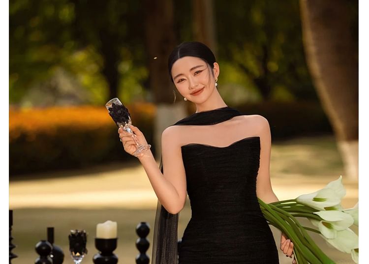 Mesh Plain Gown Tube Evening Sheath