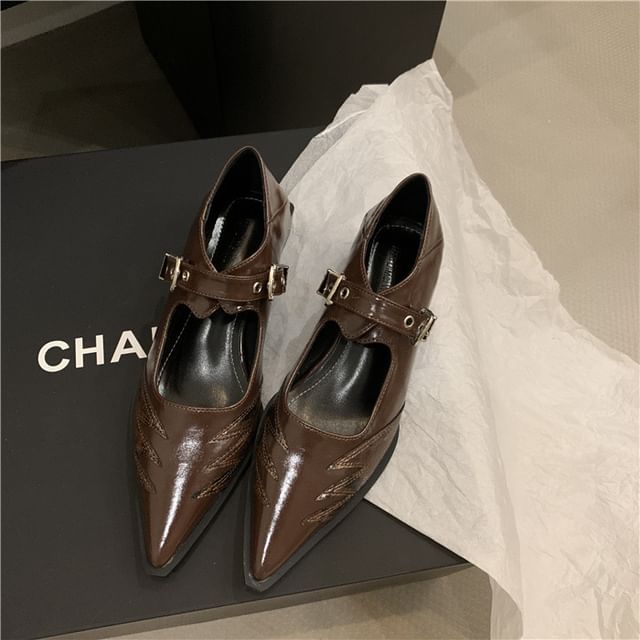 Shoes Paneled Mary Pointy Jane