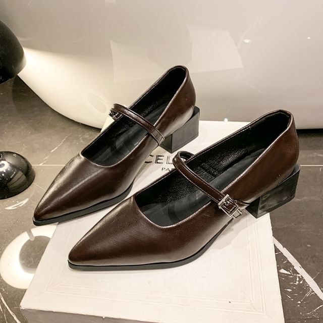 Jane Shoes Heel Mary Pointy Chunky