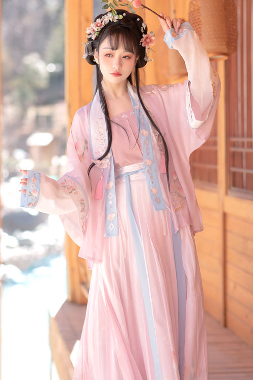 Song Dynasty Cat Embroidery Four-Piece Hanfu