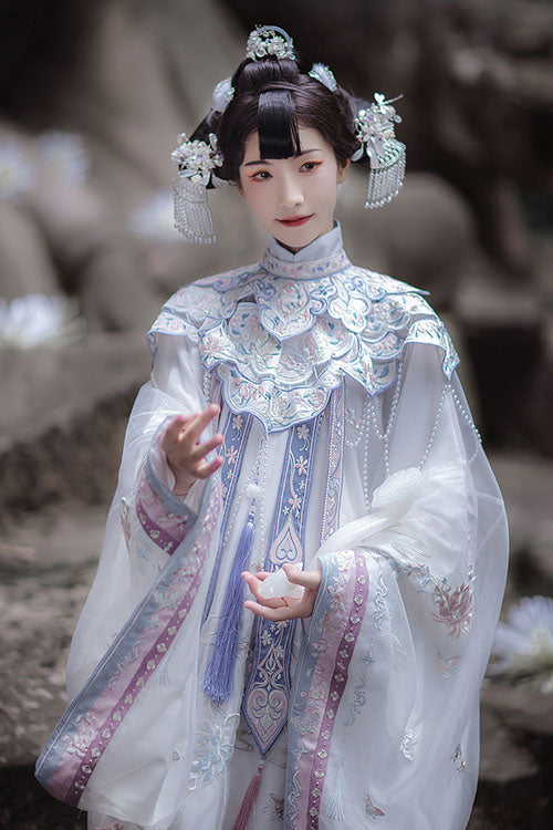 Embroidered Hanfu Coat with Horse-Face Skirt, Long Style