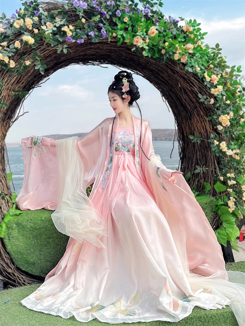 Blush Tang Dynasty Long Flared Sleeves Printed Embroidered Sweet Hanfu Gown