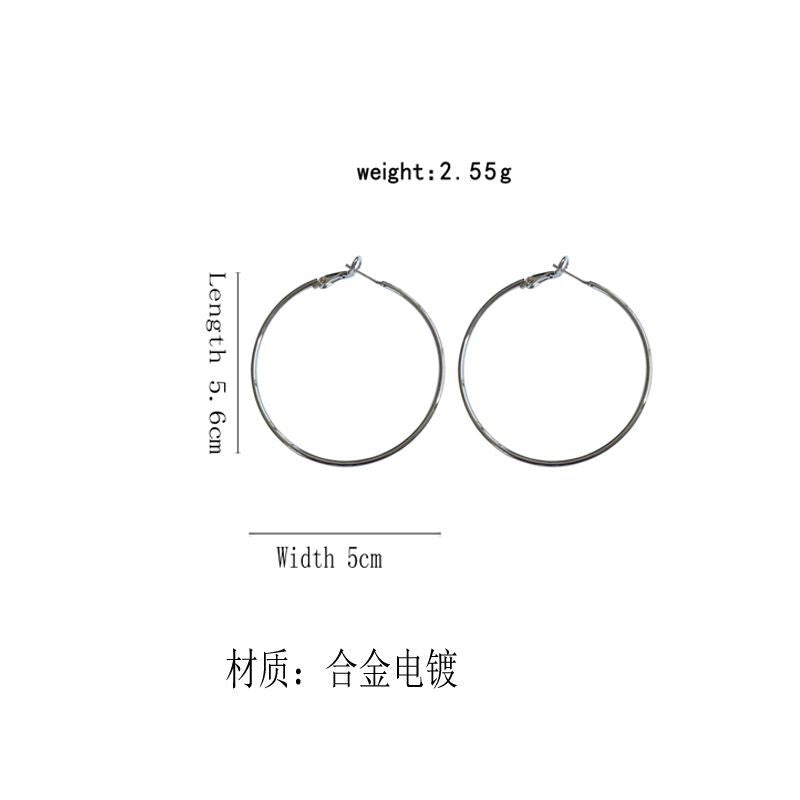 Alloy Earring Hoop