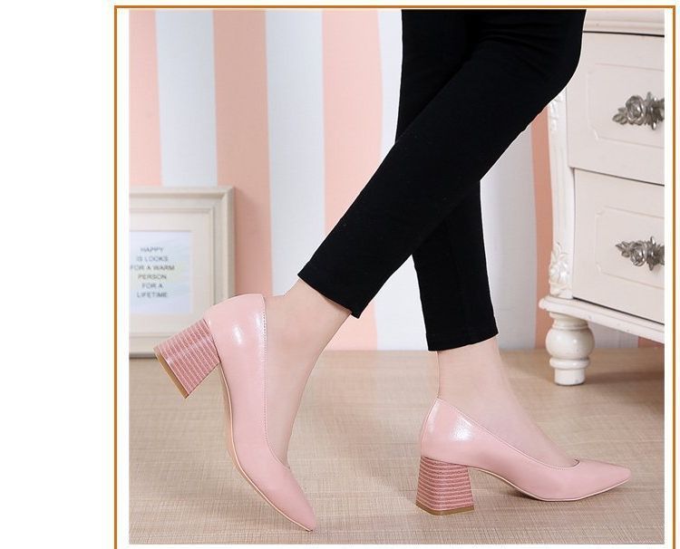 Pumps Pointy-Toe Chunky-Heel