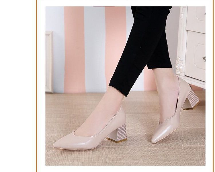 Pumps Pointy-Toe Chunky-Heel