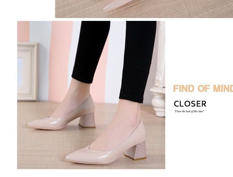 Pumps Pointy-Toe Chunky-Heel