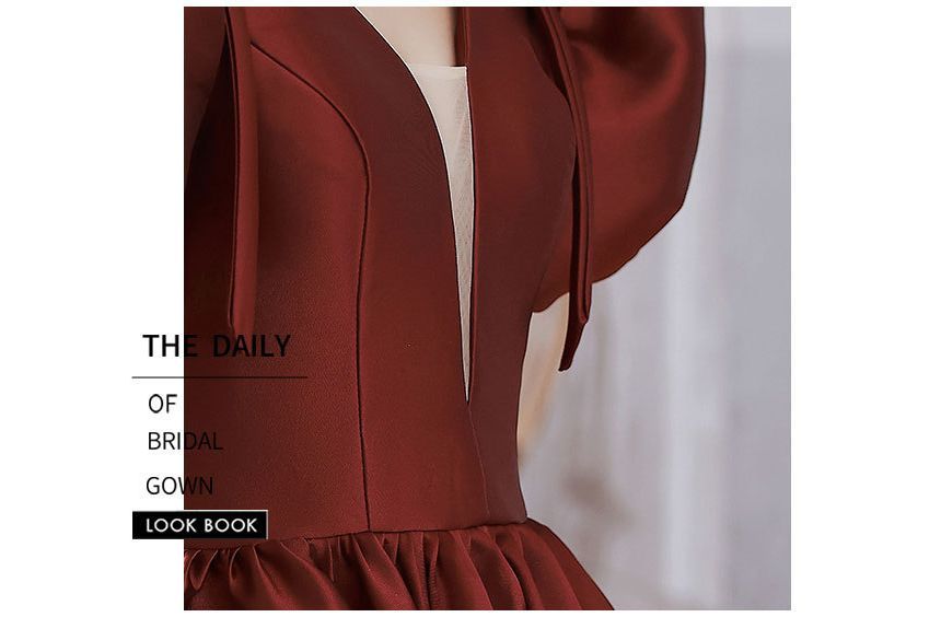 Evening Plain A-Line Puff-Sleeve Mesh Gown Panel