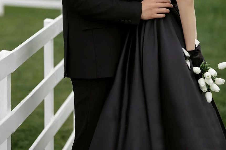 Plain A-Line Evening Gown Short-Sleeve V-Neck