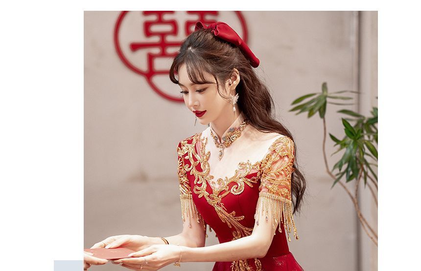 Fringed Dress / Evening Sequin Gown Midi Short-Sleeve A-Line