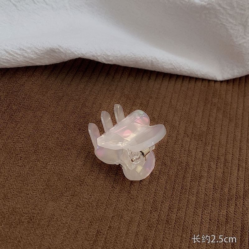 Claw Clip Iridescent Hair /