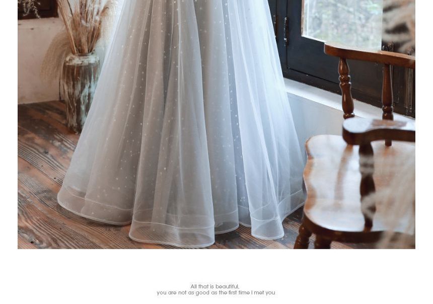 Mesh Evening A-Line / Cap-Sleeve Sequin Midi Gown Dress Panel