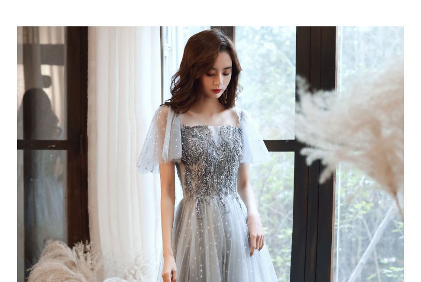 Mesh Evening A-Line / Cap-Sleeve Sequin Midi Gown Dress Panel