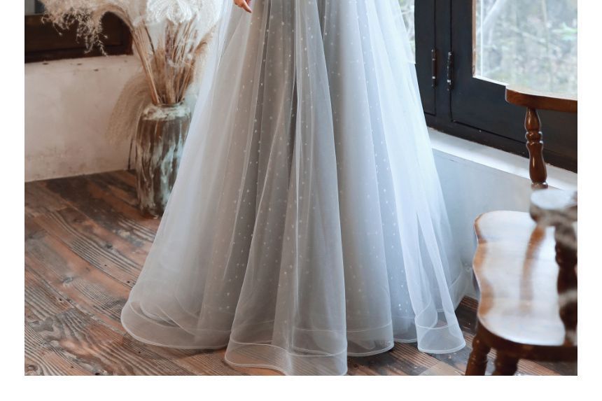 Mesh Evening A-Line / Cap-Sleeve Sequin Midi Gown Dress Panel