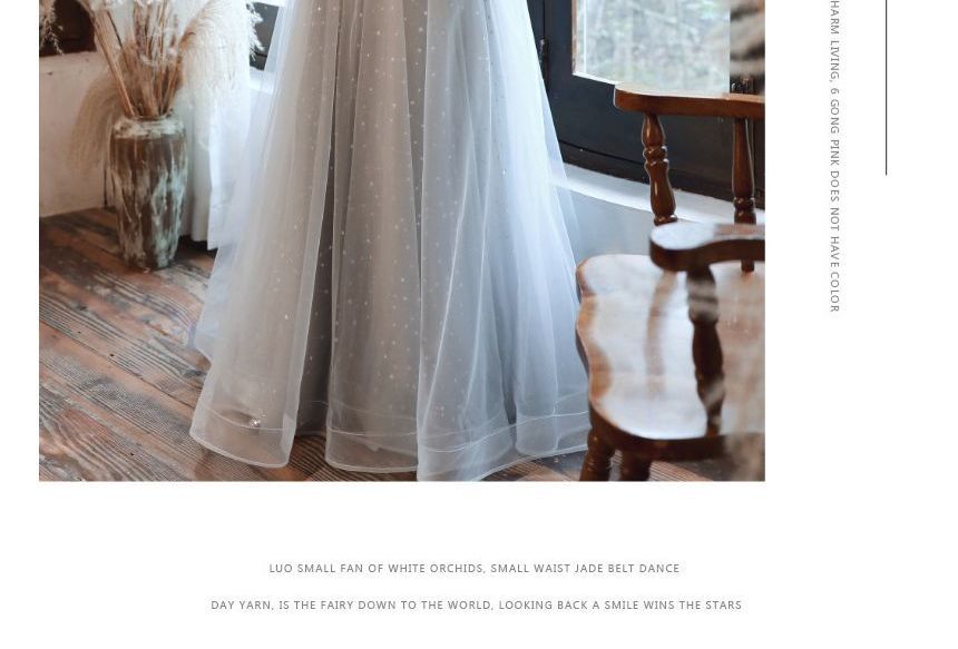 Mesh Evening A-Line / Cap-Sleeve Sequin Midi Gown Dress Panel