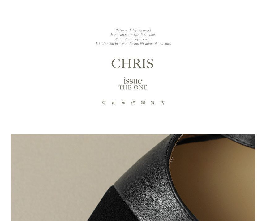 Pointed Buckled Flats Strap