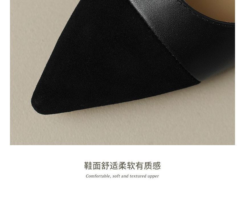 Pointed Buckled Flats Strap