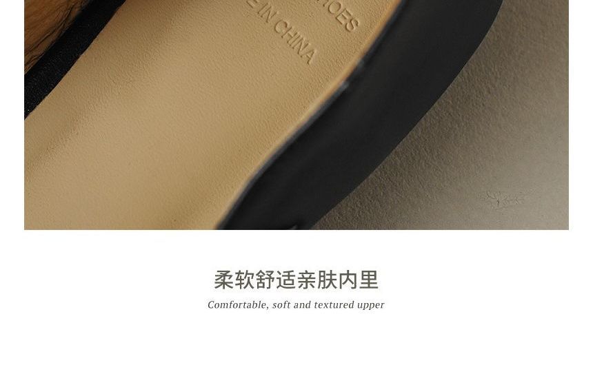 Pointed Buckled Flats Strap