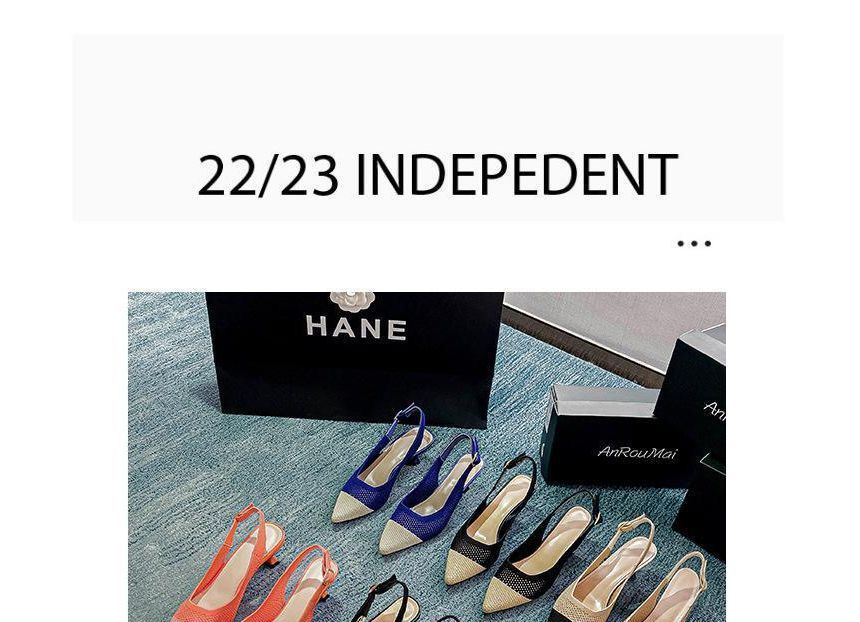 Kitten Slingback Pointed Sandals Heel