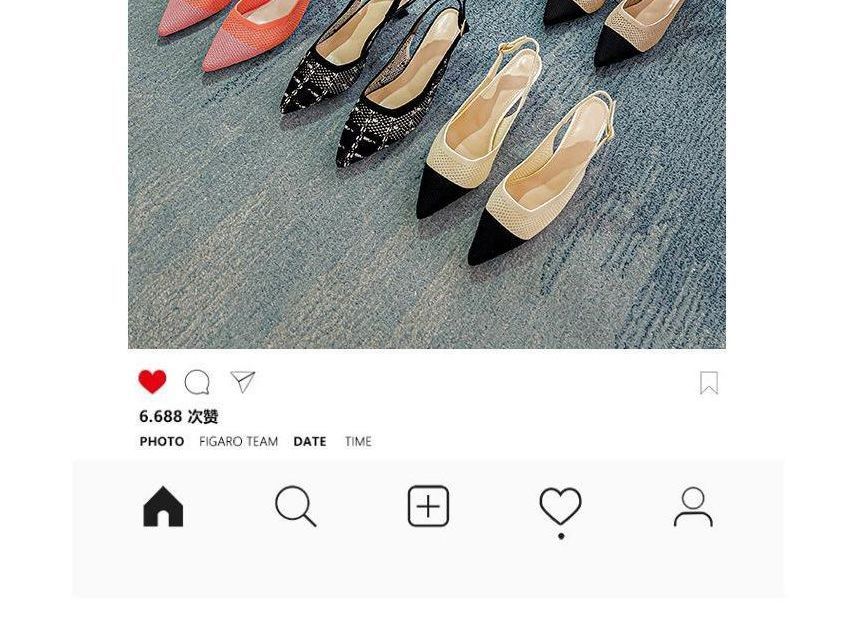 Kitten Slingback Pointed Sandals Heel