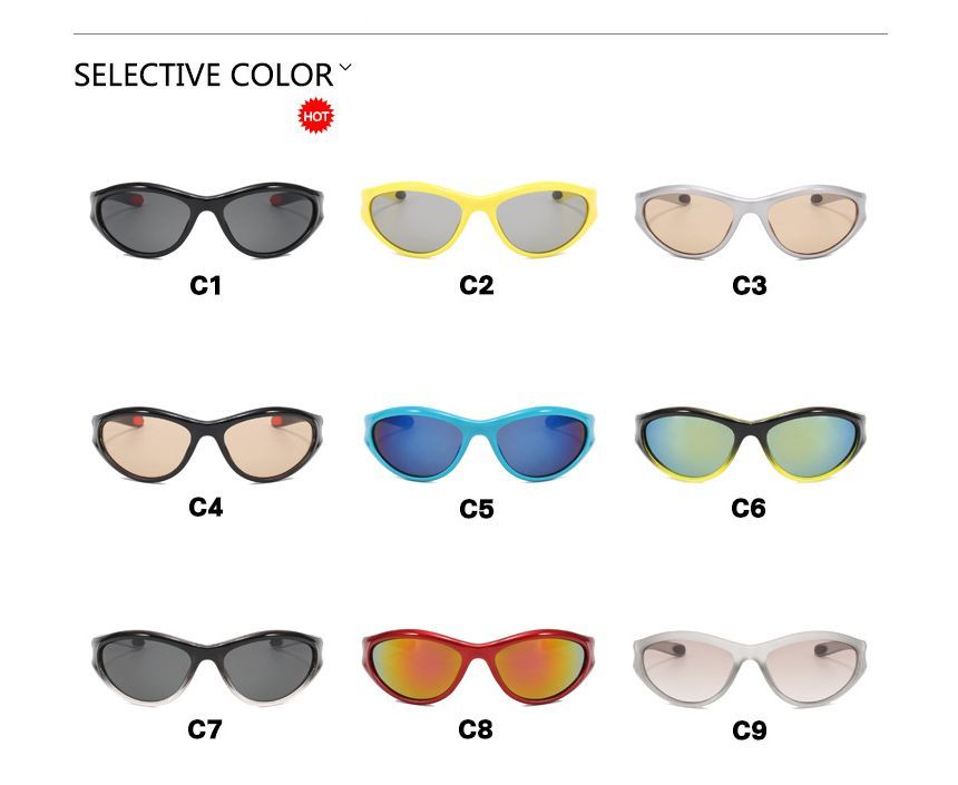 Sunglasses / Transparent Plain