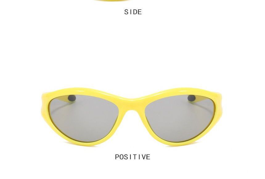 Sunglasses / Transparent Plain