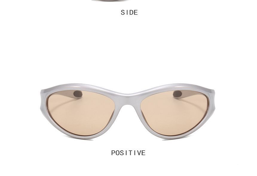 Sunglasses / Transparent Plain
