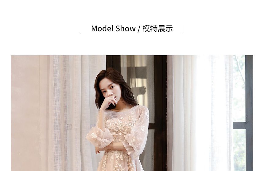 Evening Gown Long-Sleeve Crew A-Line Neck Mesh