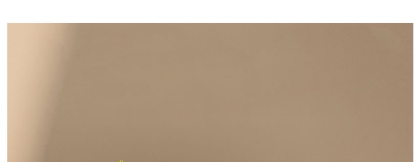 Floral Faux Headband Pearl