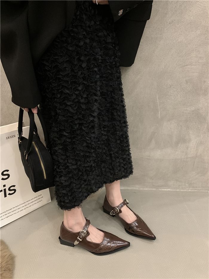 Shoes Paneled Mary Pointy Jane