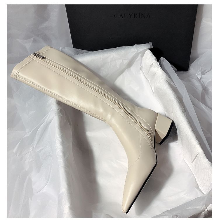 Pointed Knee High Boots Toe