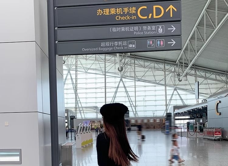 Elastic A-Line Floral Midi Waist Skirt