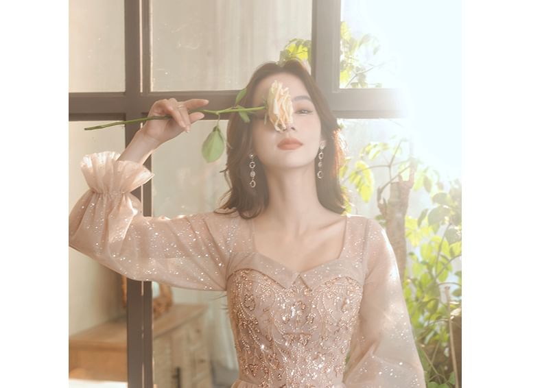 Evening V-Neck / Mesh Puff-Sleeve Gown Sequin Dress A-Line