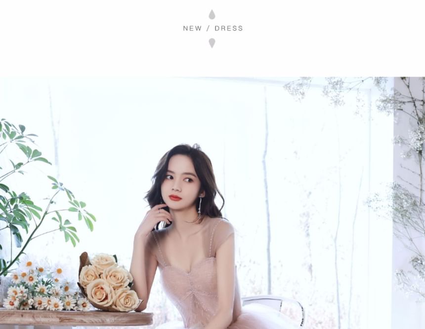 Evening Strapless Mesh Gown A-Line