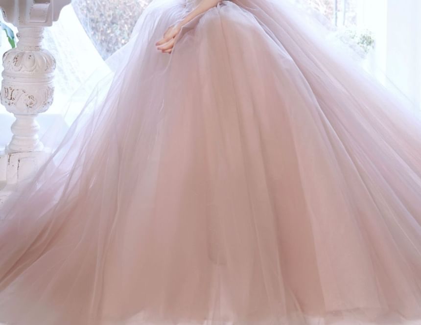 Evening Strapless Mesh Gown A-Line