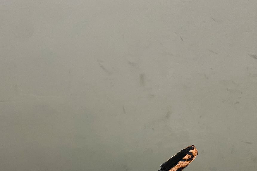 Kitten Heel Slingback Leopard Print Mules