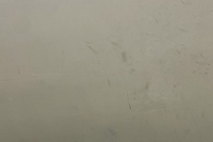 Kitten Heel Slingback Leopard Print Mules