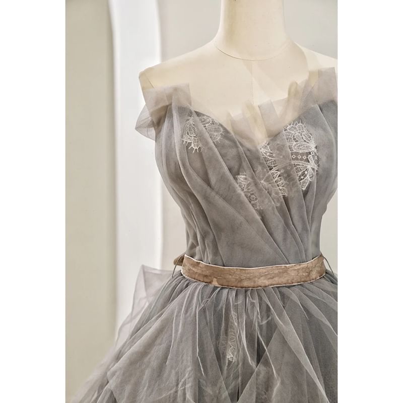 Panel A-Line Lace Mesh Ruched Evening Tube Gown