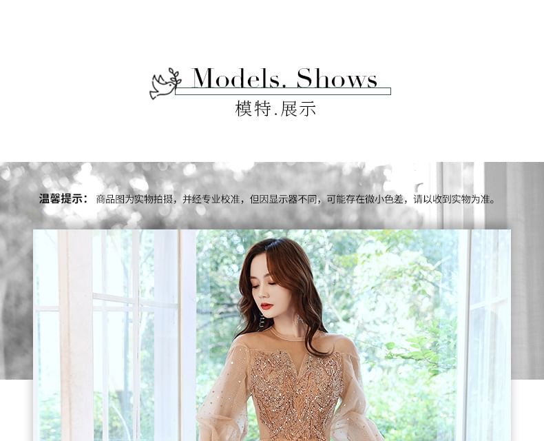 Sequin Evening Gown Long-Sleeve / Mesh Dress A-Line