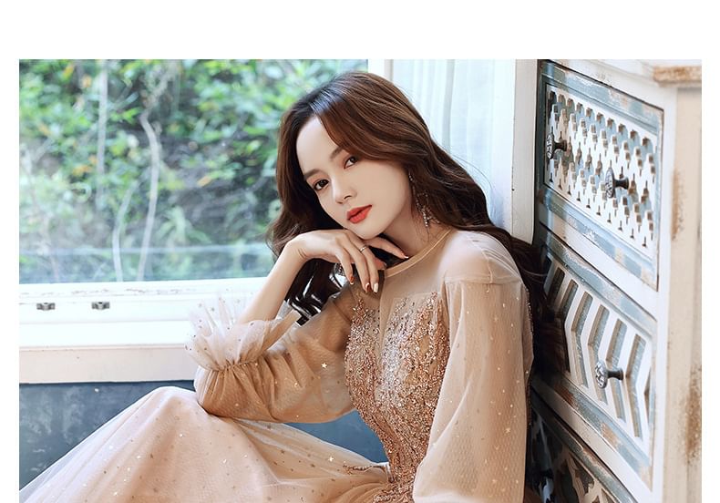 Sequin Evening Gown Long-Sleeve / Mesh Dress A-Line