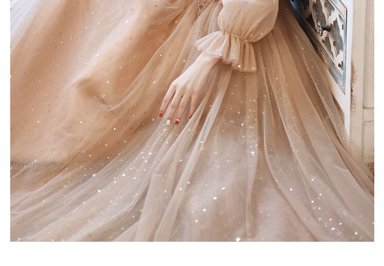 Sequin Evening Gown Long-Sleeve / Mesh Dress A-Line