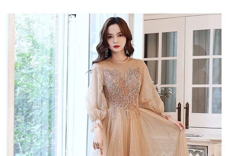 Sequin Evening Gown Long-Sleeve / Mesh Dress A-Line