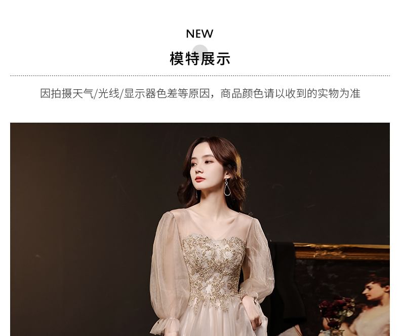 Long-Sleeve Evening Mesh A-Line V-Neck / Dress Gown