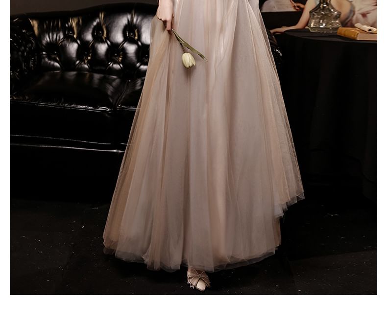 Long-Sleeve Evening Mesh A-Line V-Neck / Dress Gown