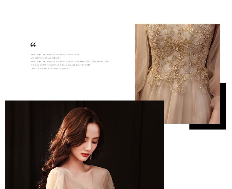 Long-Sleeve Evening Mesh A-Line V-Neck / Dress Gown