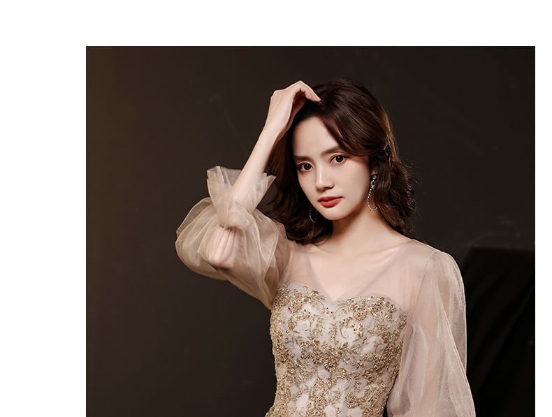 Long-Sleeve Evening Mesh A-Line V-Neck / Dress Gown