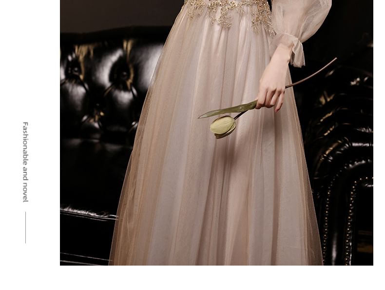 Long-Sleeve Evening Mesh A-Line V-Neck / Dress Gown