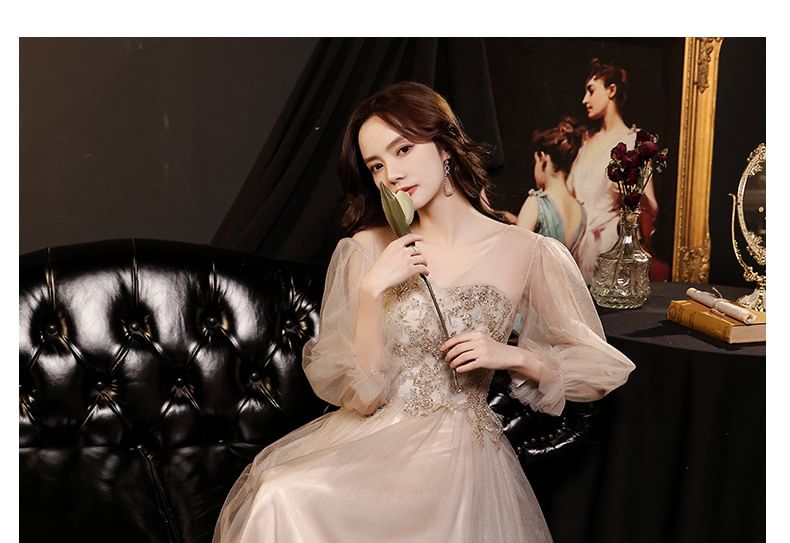Long-Sleeve Evening Mesh A-Line V-Neck / Dress Gown