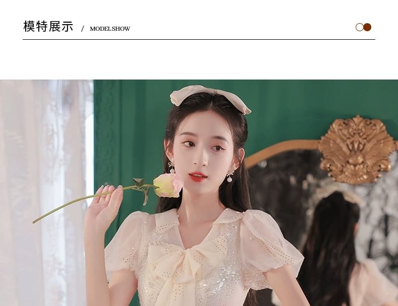 Evening Ribbon Gown Short-Sleeve Neck A-Line Mesh