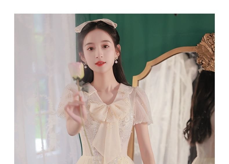 Evening Ribbon Gown Short-Sleeve Neck A-Line Mesh